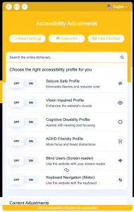 AccessiBe tool options