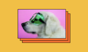 Image of cute dog with goggles on a pink background, showing simulated varied image compression